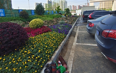 室外綠化養(yǎng)護案例