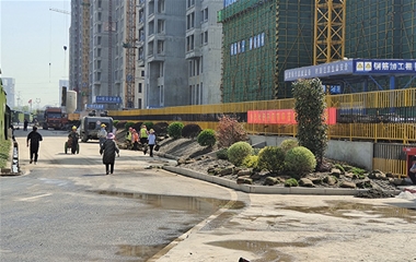 室外綠化養(yǎng)護(hù)案例