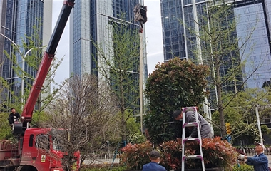 沙湖九號接待中心