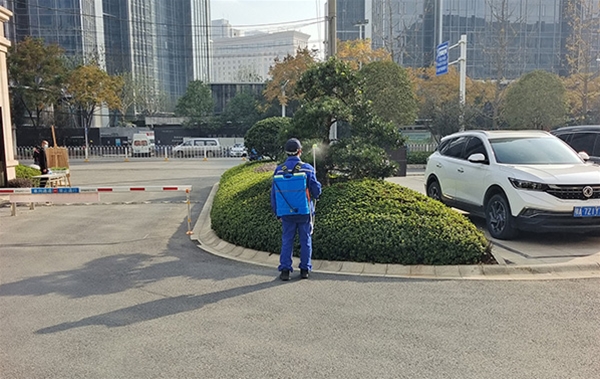 室外綠化養(yǎng)護案例