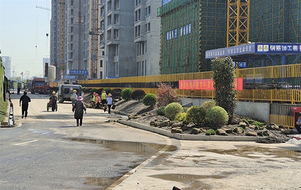 室外綠化養(yǎng)護案例