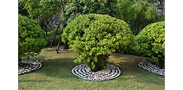 分享園林綠化施工的一些小技巧