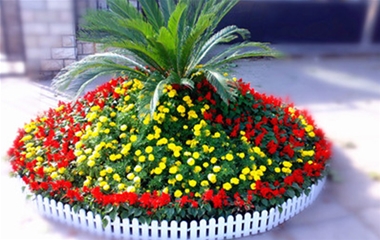 武漢廣場(chǎng)租花——廣場(chǎng)節(jié)日造型花