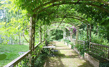 景觀(guān)園林綠化工程的內(nèi)容有哪些呢？